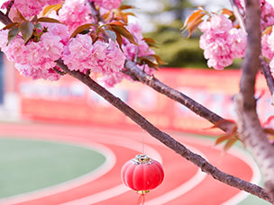 校园美景-春季校园