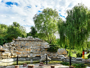 校园美景-夏季校园