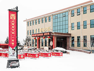 校园美景-银装素裹新东方