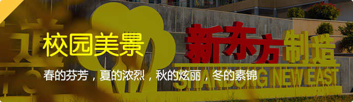 校园美景