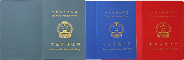职业技能等级证书