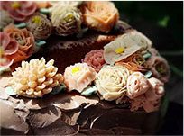 山东新东方西点精英专业