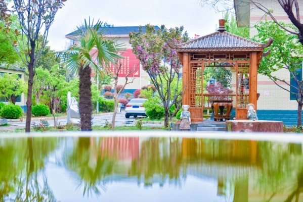 山东新东方校园春季美景