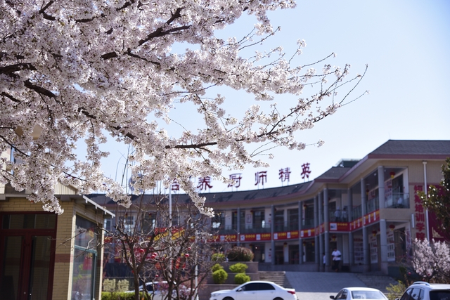 山东新东方春季美景