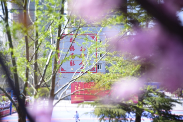 山东新东方春季美景